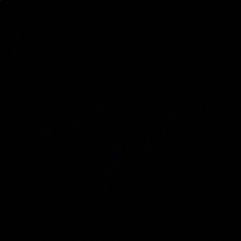 Meet your Posher, Gizelle